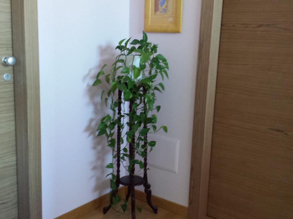 Garden B&B Ареццо Экстерьер фото